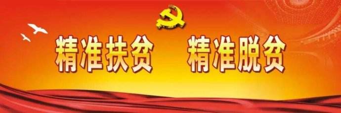 河南周口開拓精準(zhǔn)扶貧新路