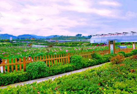 國(guó)人休閑需求增長(zhǎng)帶來多重機(jī)遇