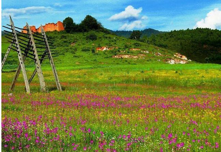 今年一季度云南旅游總收入達(dá)2635.95億元