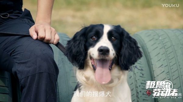 關注普通勞動者、感受社會正能量 優(yōu)酷《極限勞動者》紀錄片獲官媒點贊