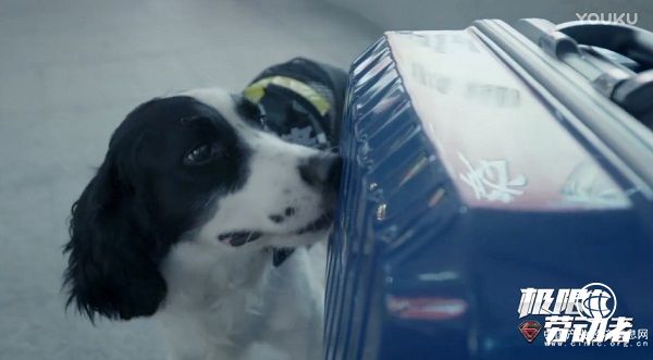 關注普通勞動者、感受社會正能量 優(yōu)酷《極限勞動者》紀錄片獲官媒點贊