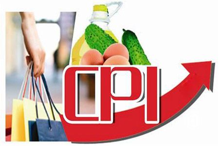 發(fā)改委：CPI、PPI將繼續(xù)在合理區(qū)間運行