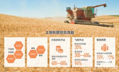 山東產(chǎn)糧大縣的土地托管調(diào)查:誰來種地？