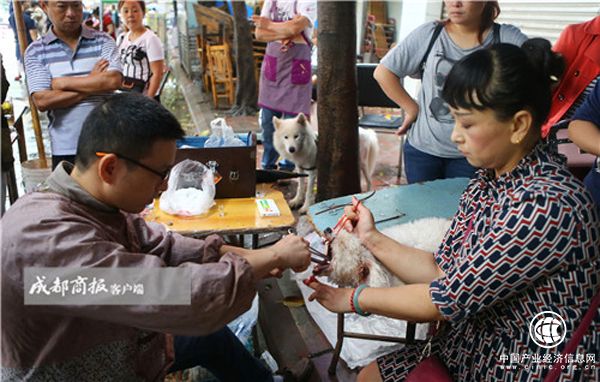 成都一江湖郎中當街為狗割聲帶：五分鐘剪一個，沒有相關(guān)診療資質(zhì)