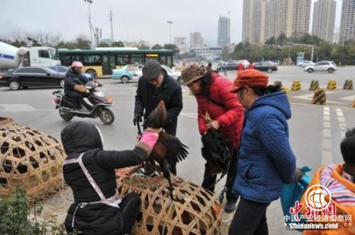 資料圖：街頭攤販。任東 攝