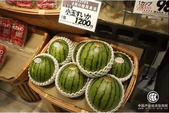 中普臧延斌：穩(wěn)抓機會，將讓你種豆得瓜