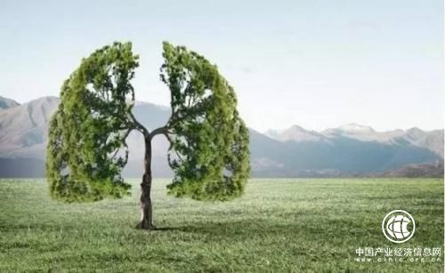 錯(cuò)過(guò)了冬病夏治，藥墨讓你緊抓秋季養(yǎng)肺