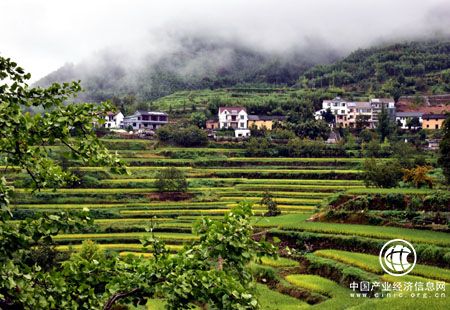生態(tài)建設(shè)與耕地保護豈能顧此失彼？