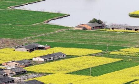 河南下達(dá)5000萬元資金防治土壤污染