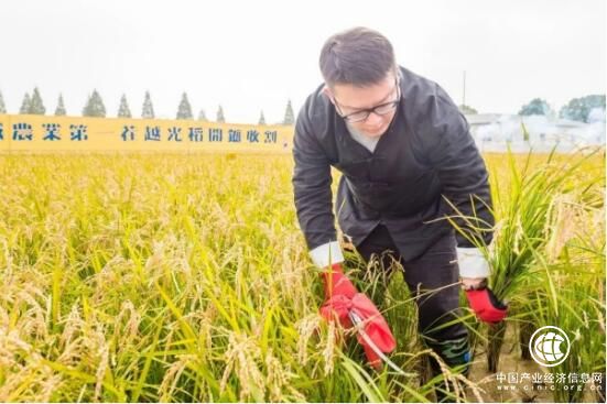 為什么韋杰總是一身中式長衫？因?yàn)樗獜?qiáng)調(diào)中華文明