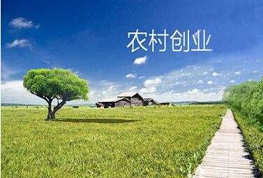 我國農(nóng)村創(chuàng)業(yè)創(chuàng)新人員已達(dá)700萬人