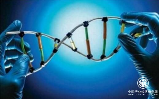 黑龍江強鏈增效推動生物產(chǎn)業(yè)創(chuàng)新融合