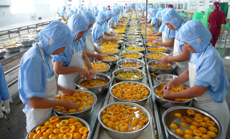 上半年我國農(nóng)產(chǎn)品出口3031億元 同比增長21.7%