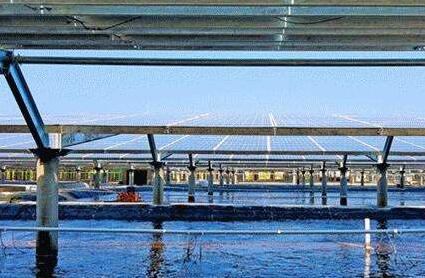 生態(tài)省如何推動(dòng)綠色經(jīng)濟(jì)發(fā)展？福建這些實(shí)踐創(chuàng)新成果復(fù)制推廣