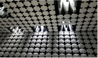 泰爾終端實(shí)驗(yàn)室潘娟：IFAA聯(lián)盟的誕生有利于生物識別市場的良性發(fā)展