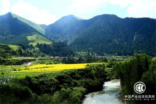 創(chuàng)新發(fā)展優(yōu)質旅游 提高國際競爭力