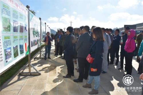 中國報業(yè)協(xié)會物資供應年會代表走進三光片區(qū)學習西疇精神