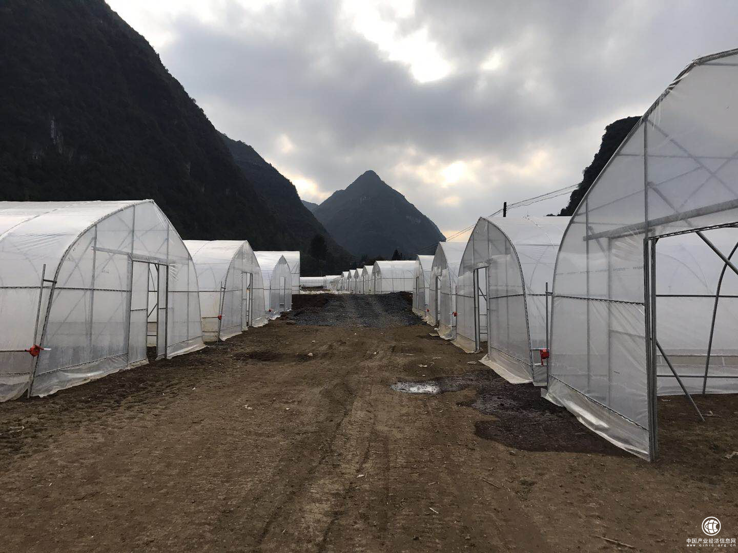 “夢想體驗師”任力：宜人貸助力“補天”之夢