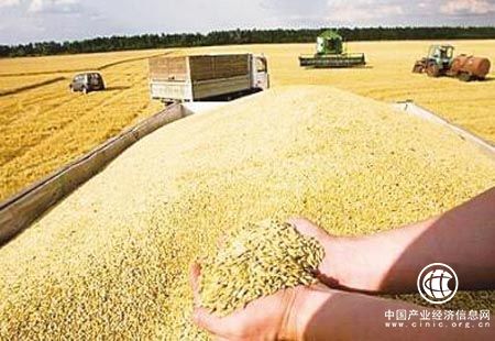 今年我國(guó)糧食再豐收 為歷史上第二高產(chǎn)年