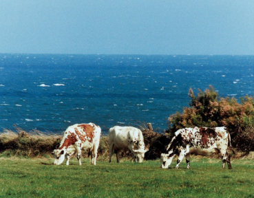 合生元超級(jí)金裝奶粉 用心科技締造好品質(zhì)