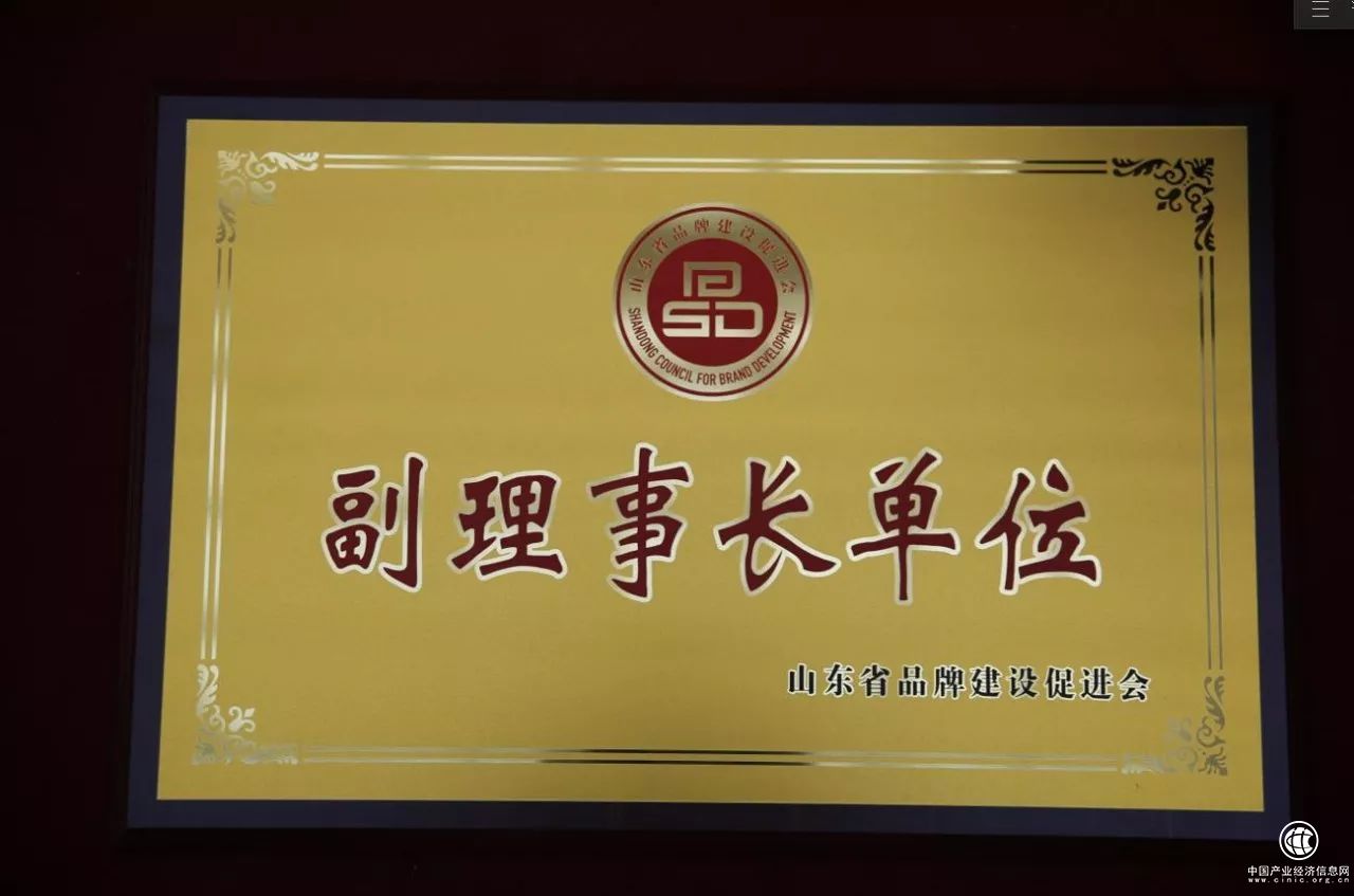 山東省品牌建設(shè)促進(jìn)會成立大會召開_云媒股份當(dāng)選副理事長單位