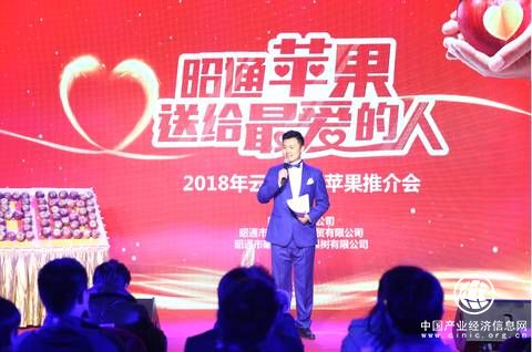 昭通蘋(píng)果，送給最?lèi)?ài)的人