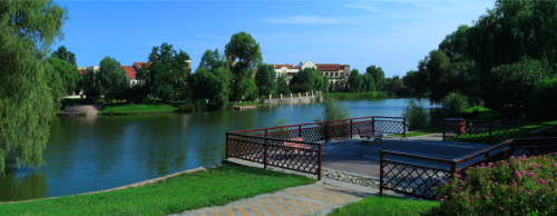 剛需化元年魯能格拉斯價值幾何？