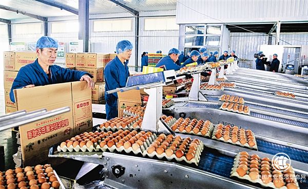 德青源堅守匠心品質 做負責任的民族企業(yè)