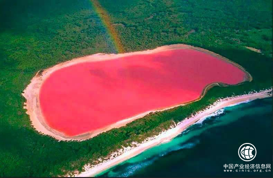 澳洲科學家從珀斯粉湖成功提取美白淡斑活性成份