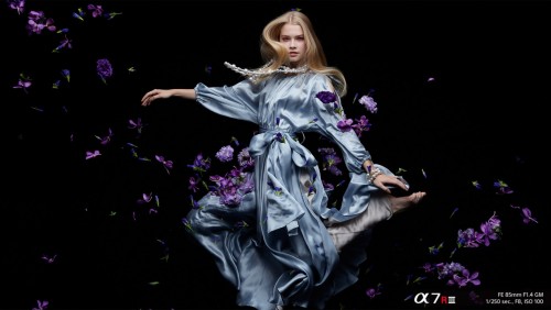 索尼全畫幅微單A7RM3 速度畫質(zhì)再突破