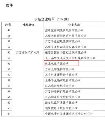 創(chuàng)新發(fā)展結(jié)碩果，遠(yuǎn)東電纜獲評“國家知識產(chǎn)權(quán)示范企業(yè)”