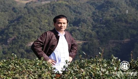 從此，廈門本土有了自己的評茶大師