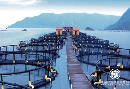 福建“面朝大海”加快流通創(chuàng)新