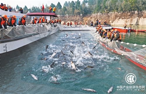 中國漁業(yè)何以“減量增收”