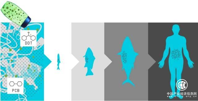 “塑戰(zhàn)速?zèng)Q”——代表們呼吁盡快制定政策解決塑料污染問(wèn)題