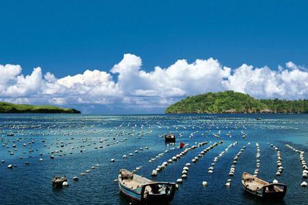 優(yōu)化藍色海洋經(jīng)濟，打造新的經(jīng)濟增長點