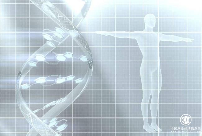 中國(guó)科學(xué)家揭示人類胚胎發(fā)育和進(jìn)化的奧秘