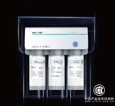 安吉爾，再贏佳績