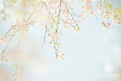 怎樣消除眼袋最有效，快速消除眼袋的小妙招