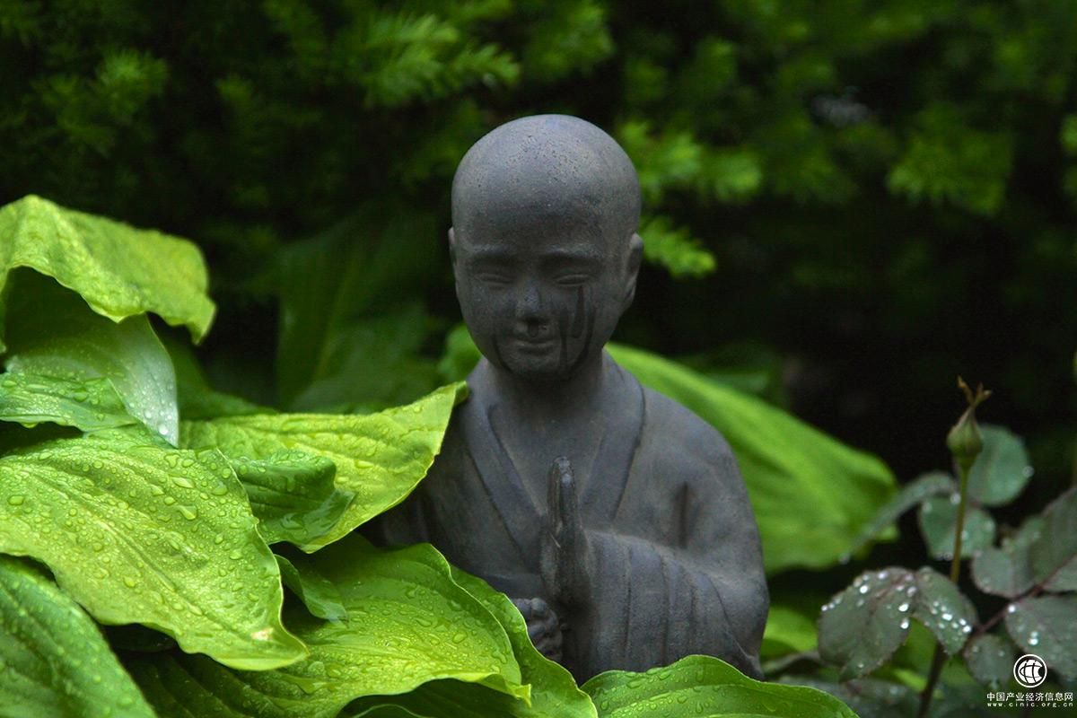 昨天，我的佛友圈被一款戒指刷爆屏了！