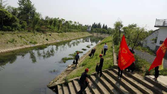 沈陽(yáng)農(nóng)業(yè)大學(xué)教授楊立新：40余項(xiàng)專(zhuān)利技術(shù)讓黑臭水體重現(xiàn)碧波