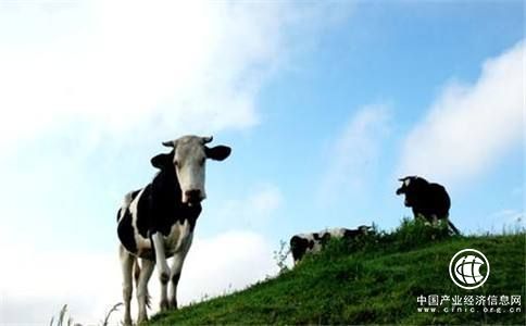 奶源價(jià)格還不具備競(jìng)爭(zhēng)優(yōu)勢(shì)，乳業(yè)上市公司業(yè)績(jī)分化嚴(yán)重