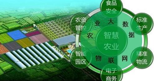 我國(guó)農(nóng)業(yè)大數(shù)據(jù)創(chuàng)新應(yīng)用大有可為