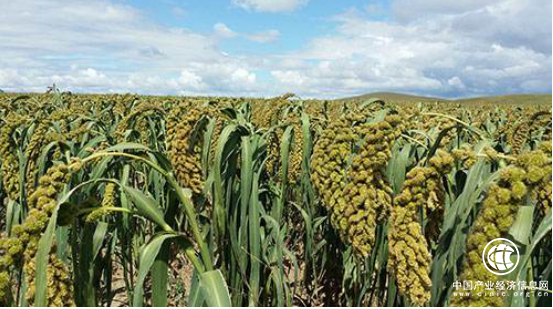 中國(guó)農(nóng)牧業(yè)開(kāi)發(fā)平臺(tái)，開(kāi)啟移動(dòng)互聯(lián)新世界