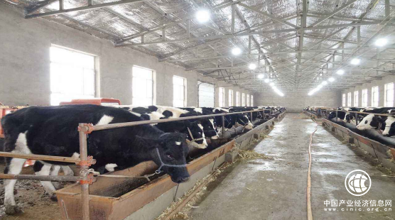 中國(guó)農(nóng)牧業(yè)開(kāi)發(fā)平臺(tái)，開(kāi)啟移動(dòng)互聯(lián)新世界