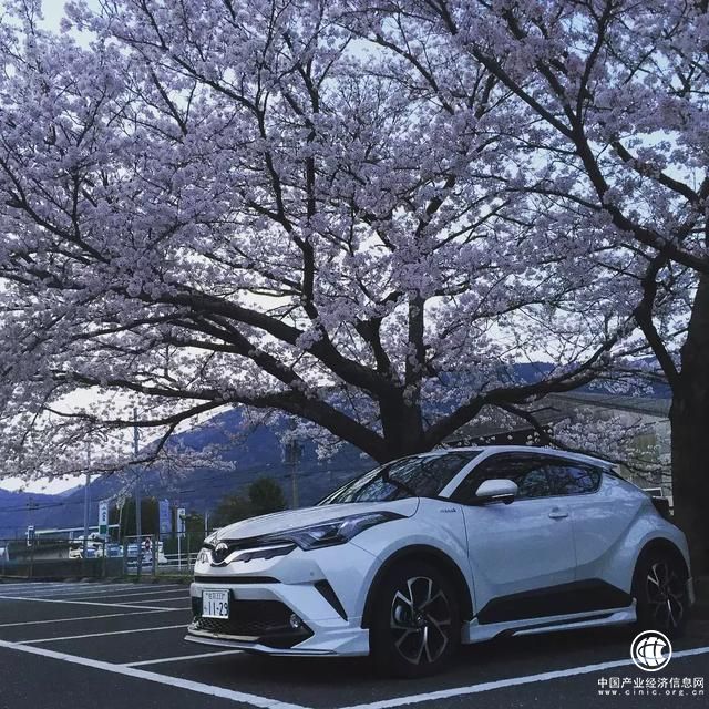 豐田這款網(wǎng)紅車，才是合資小型SUV的正確打開方式