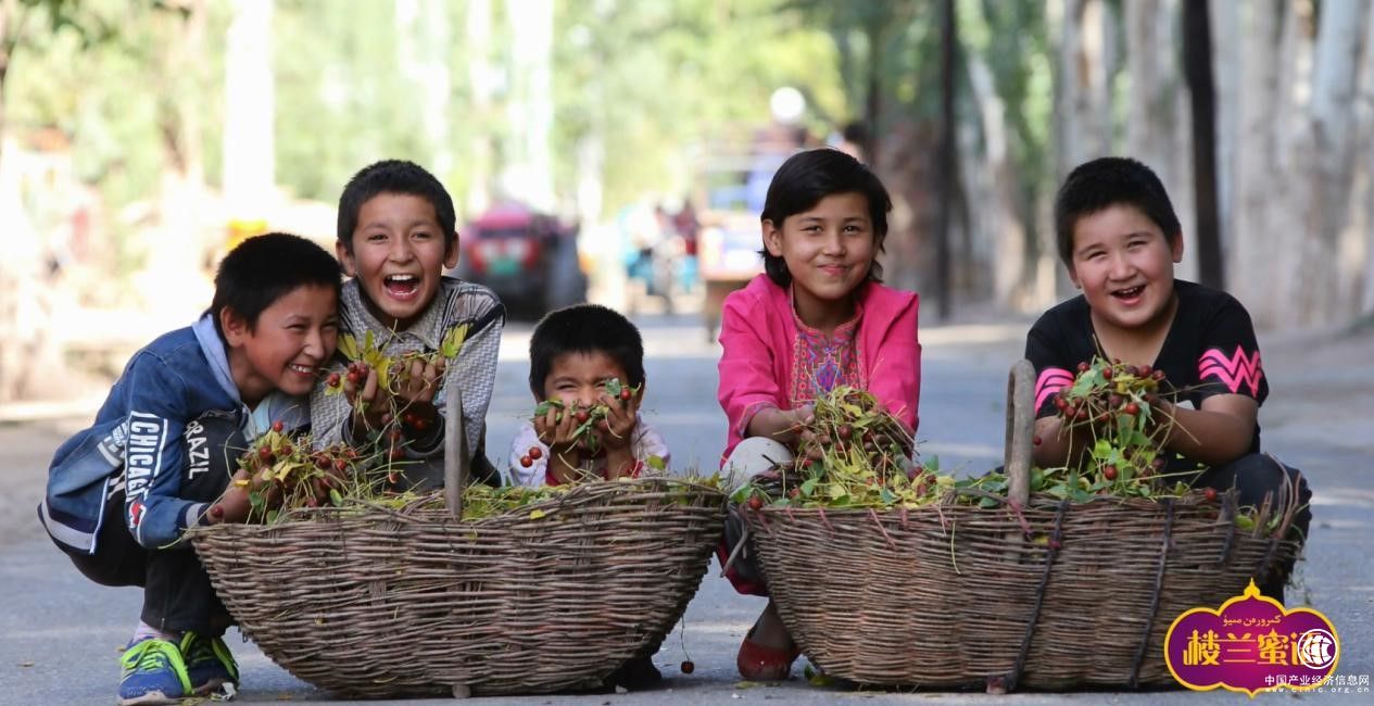 “我在喀什有棵百年棗樹”首次上線京東眾籌 為精準扶貧插上互聯(lián)網(wǎng)+的翅膀