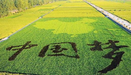 農業(yè)農村部：政府投資力度加大投資領域越來越寬