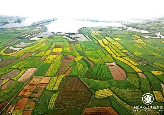 2018年一季度農(nóng)業(yè)經(jīng)濟運行良好，第一產(chǎn)業(yè)增加值達到8904億元