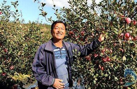 電商時代下的農業(yè)需要依靠科技和網絡提高生產力